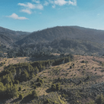 Bay Nature Hike: The Stewards Return at Quiroste Valley